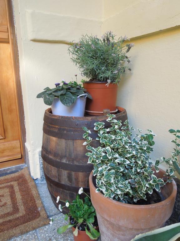 דירות בודפשט Rustic Elegance מראה חיצוני תמונה